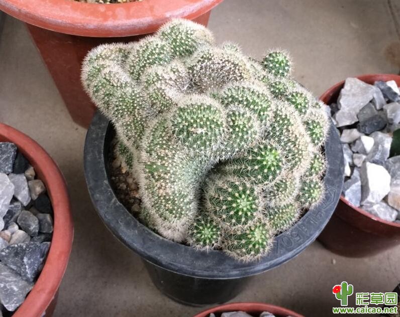 烂七八糟的一大坨15297