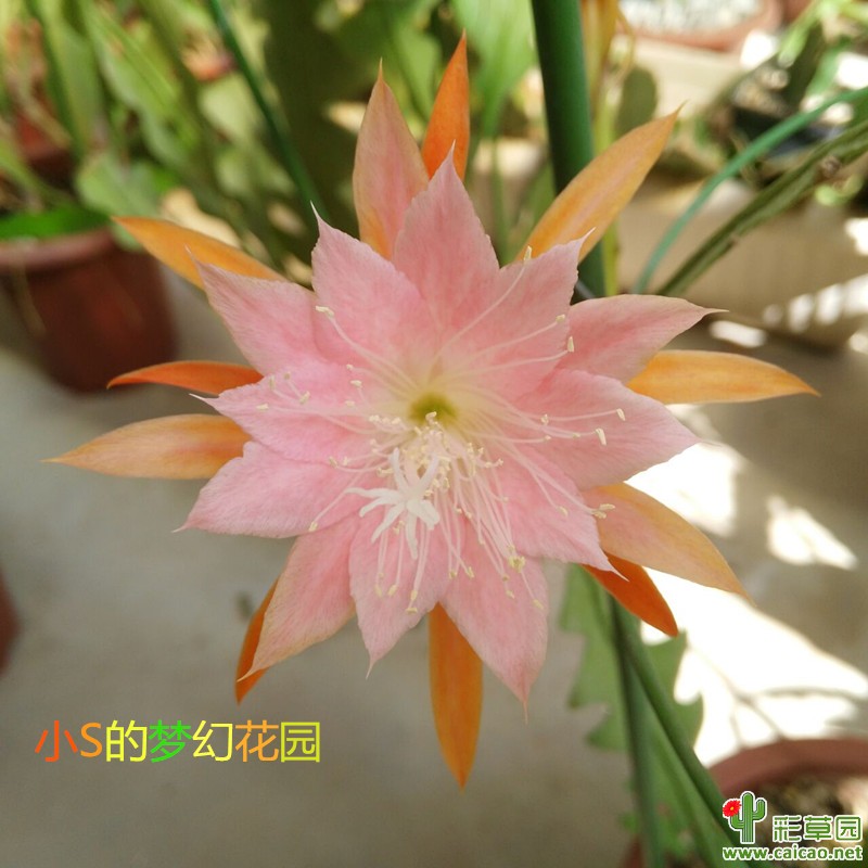 好久不见.....16223