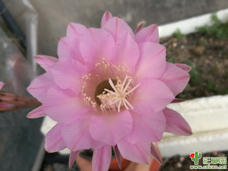 就开这么多17581