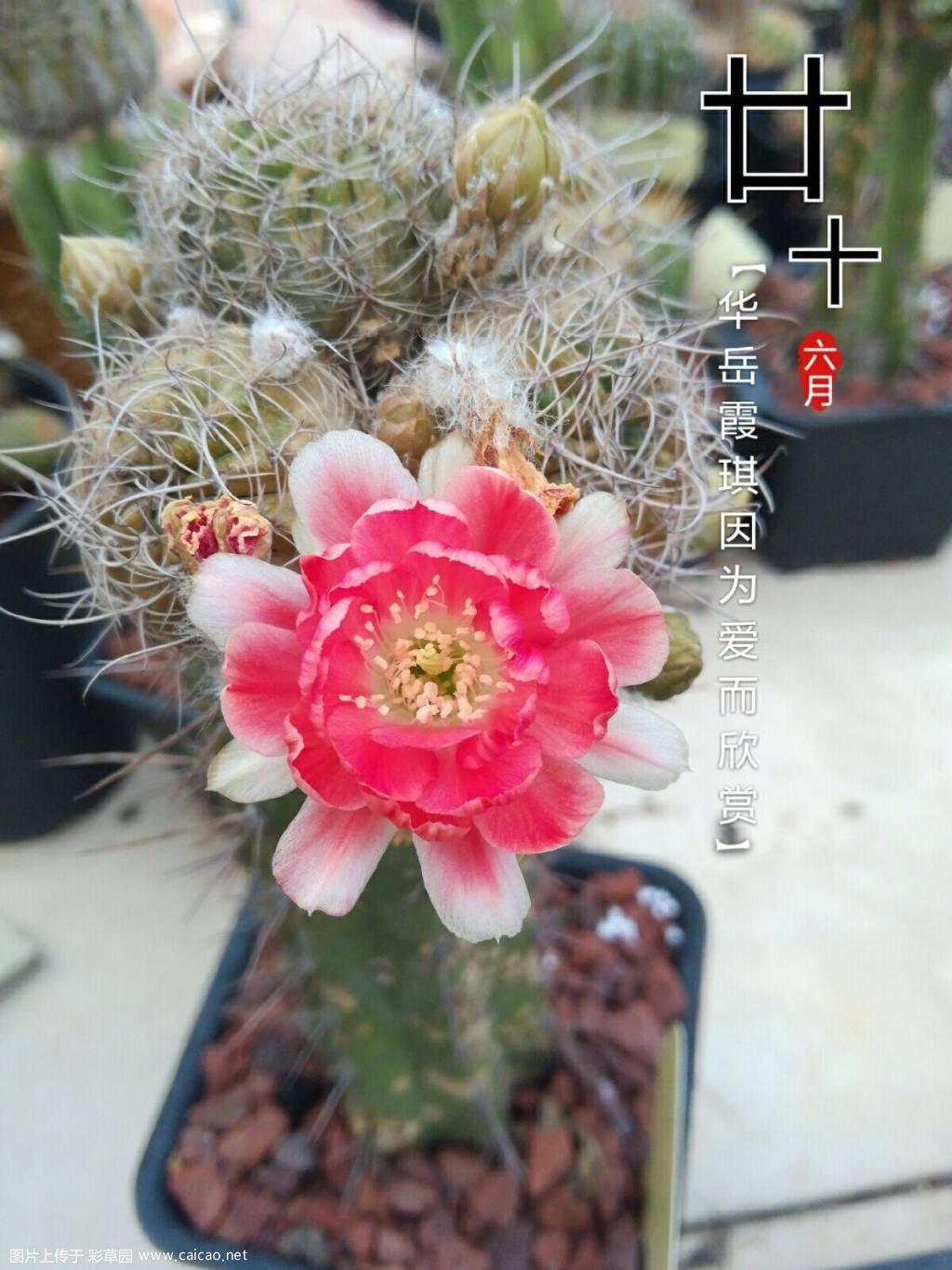 夏天太热都开不出激情