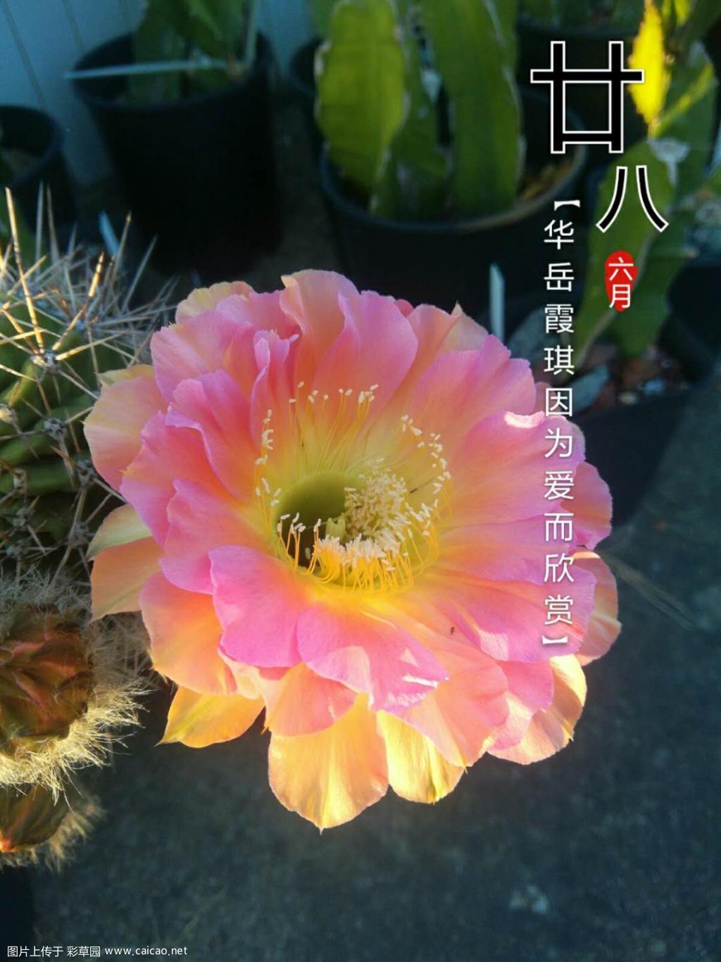 秋天还是夏天