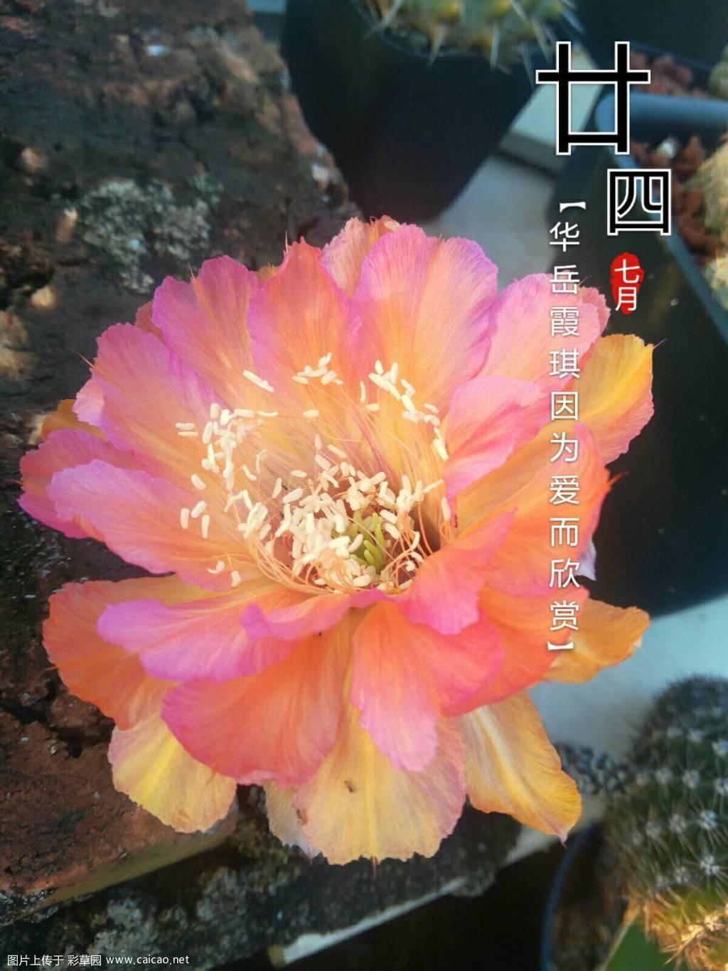 连续下雨有几天了