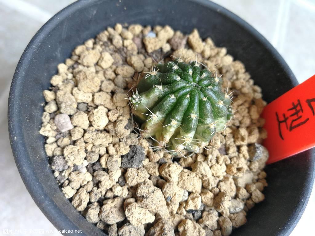还有救吗？