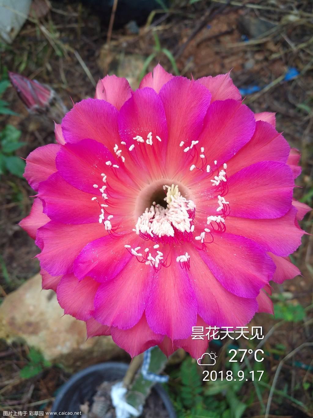 又挑出来几个看着还顺眼的