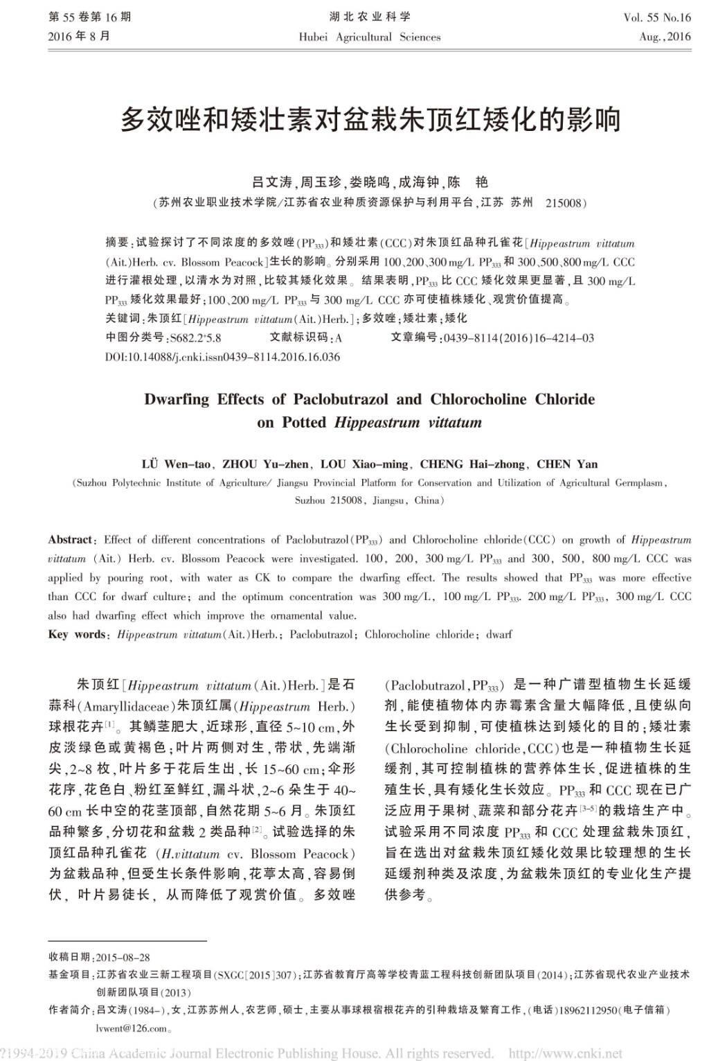 多效唑和矮壮素对盆栽朱顶红矮化的影响