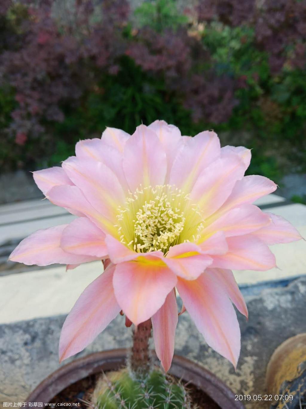 求名