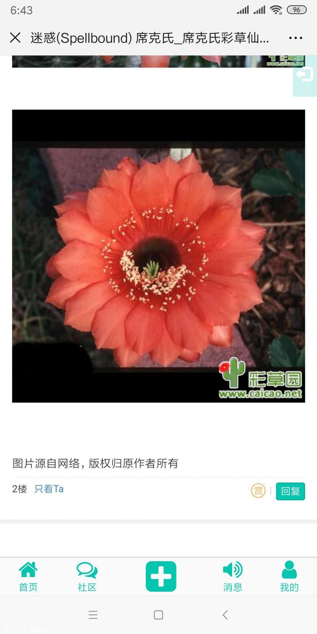 求鉴定，席克氏迷惑，感觉不太对版呀。