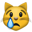 crying_cat_face