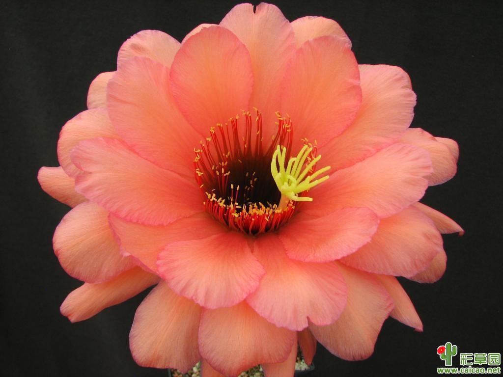 RL.2010.2254.BS-06