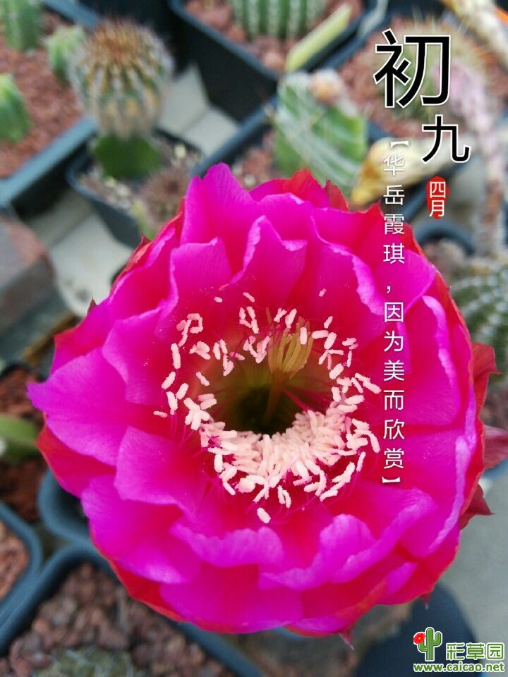 早上少了13018