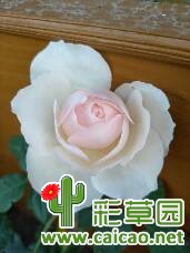 日月 日和13023
