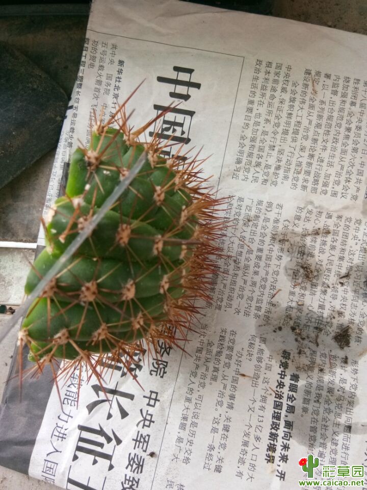 朋友们  我的多彩醉意挂了·15635