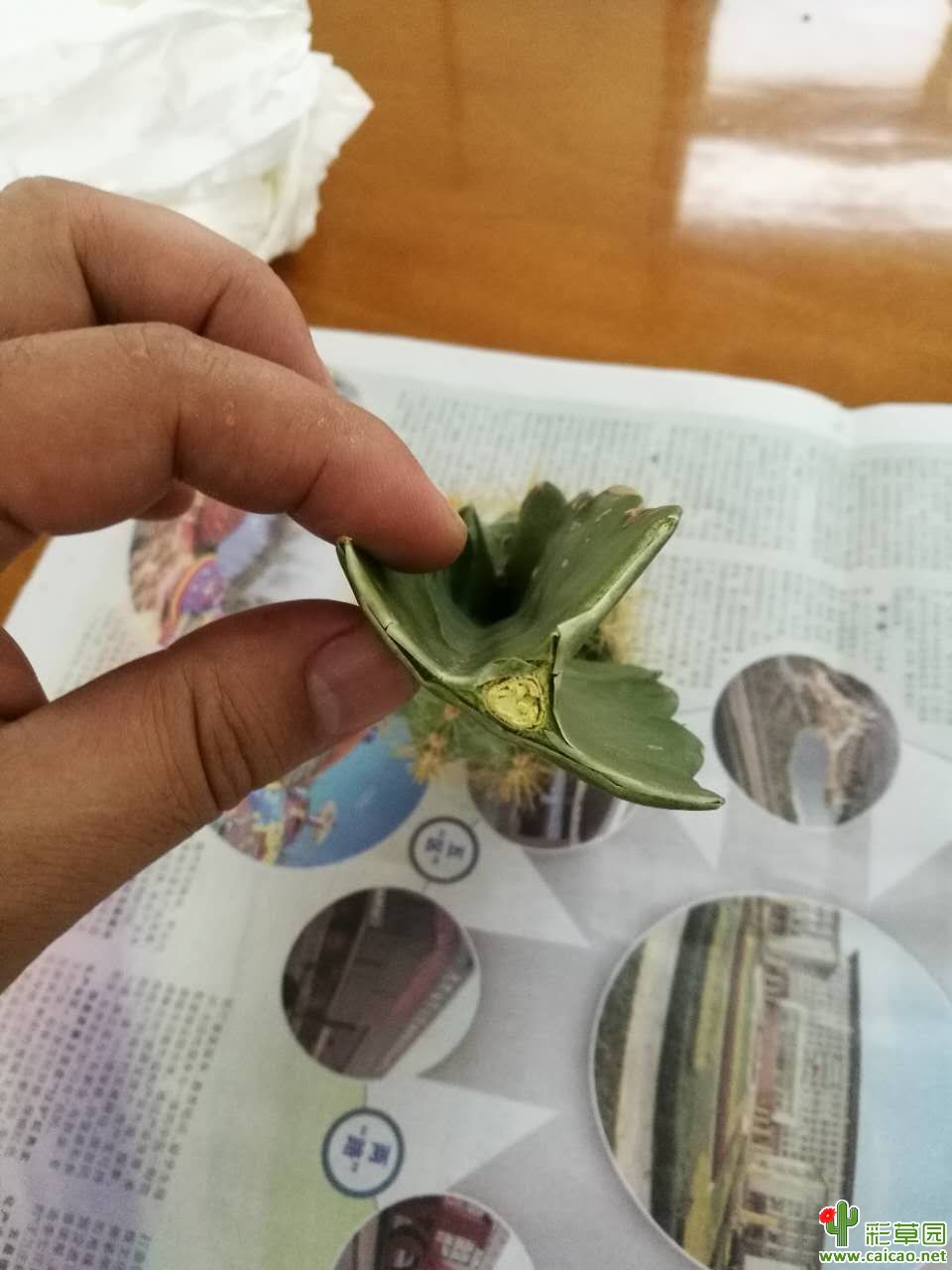 新手请教