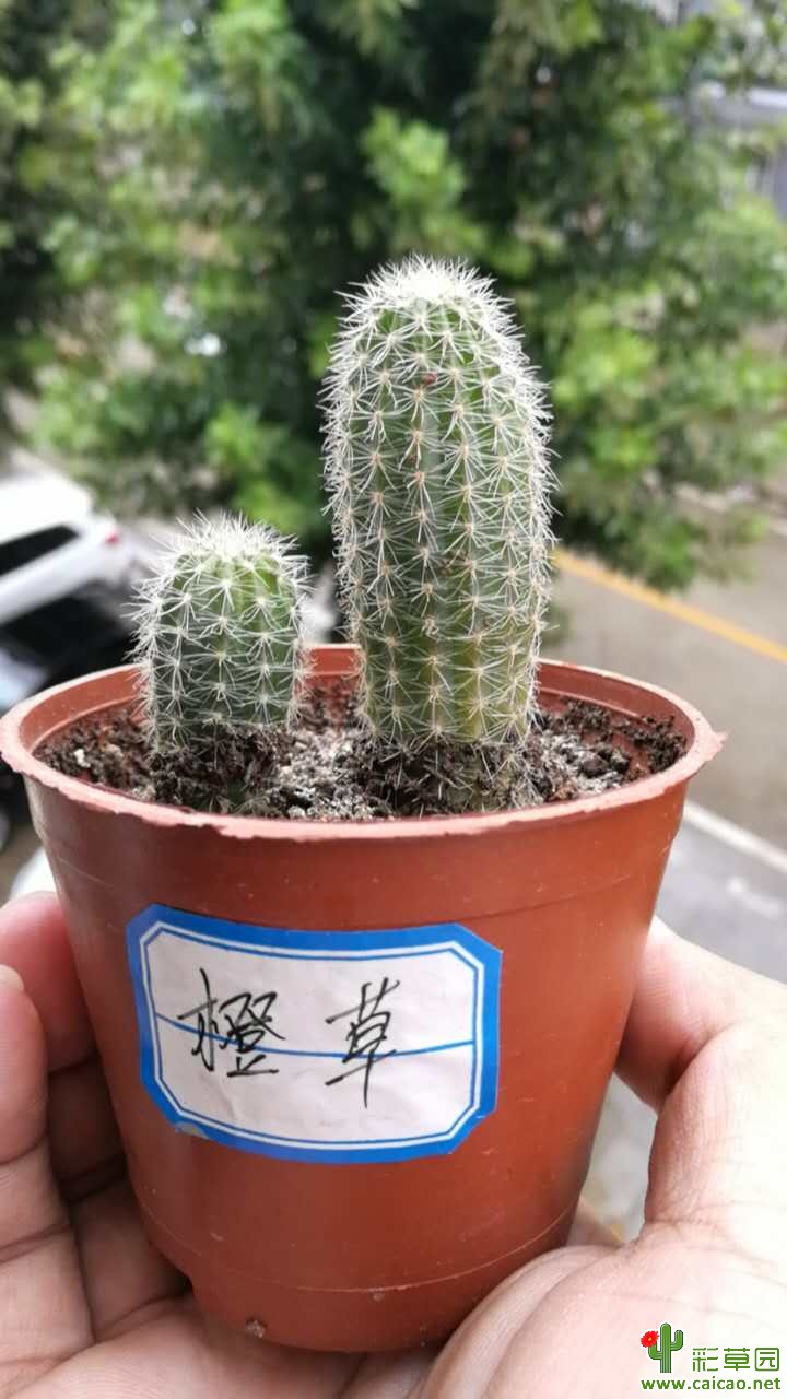 纪念一个月的时光16707