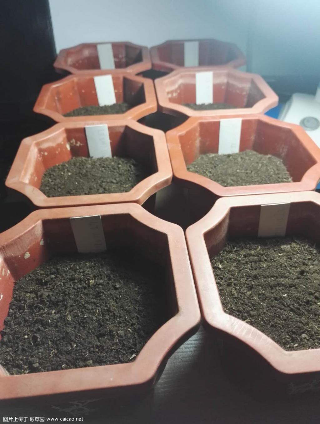 播种简易教程