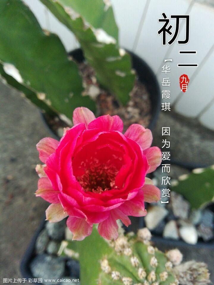 HY.2015.HJ001