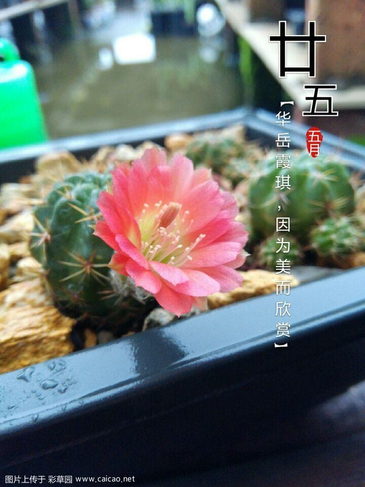 HY.2015.HH001
