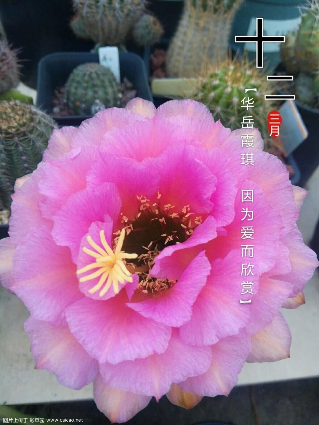 今天不错
