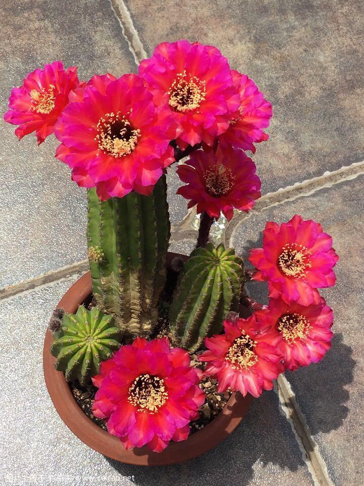 求助求助