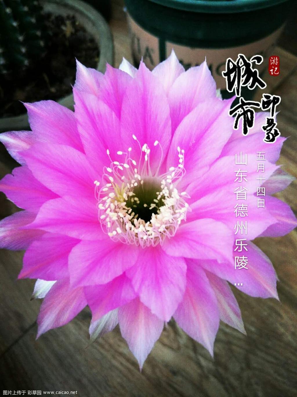 继续
