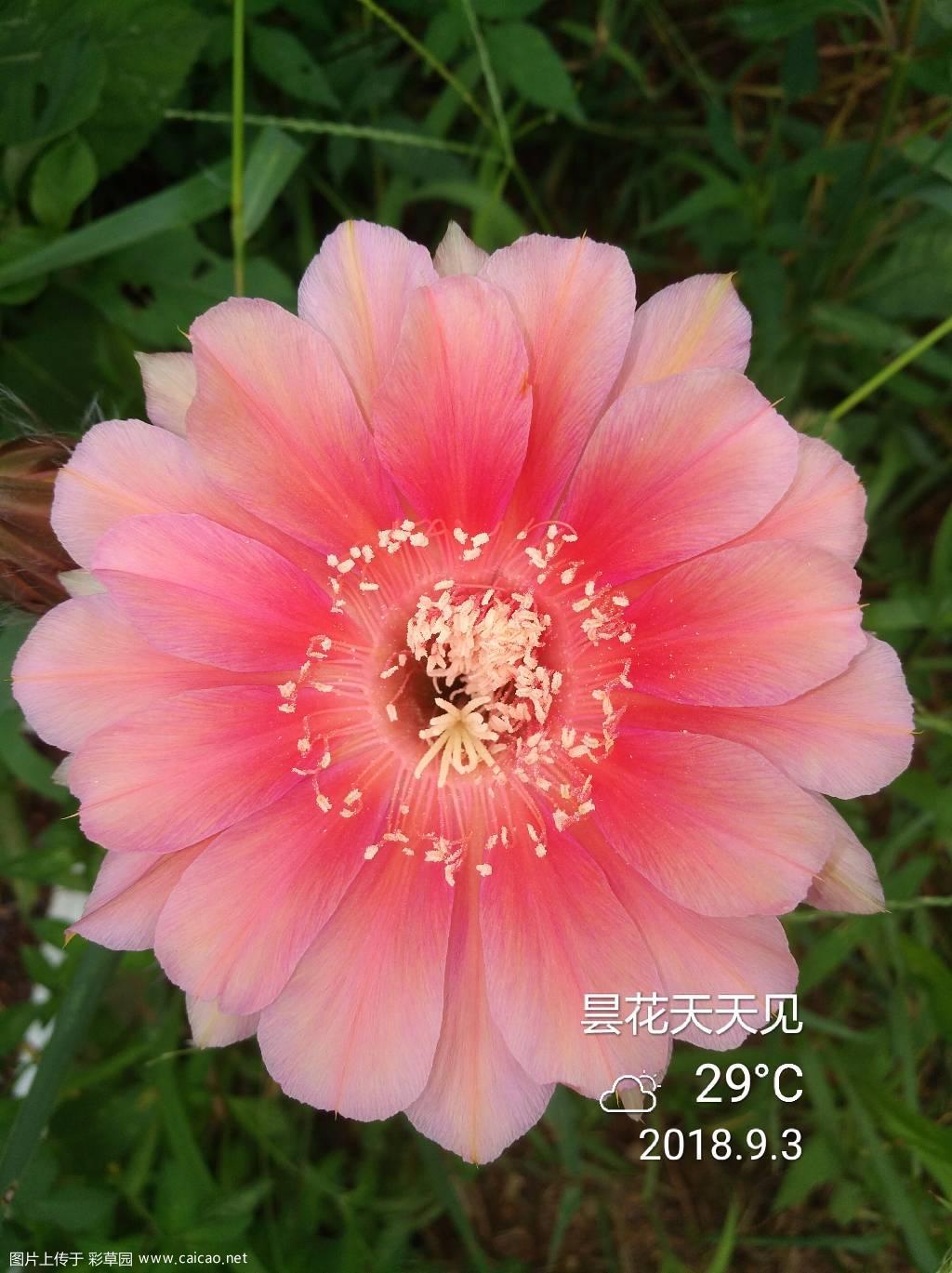 分享图片