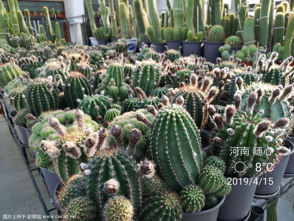 万箭齐发 静待花开