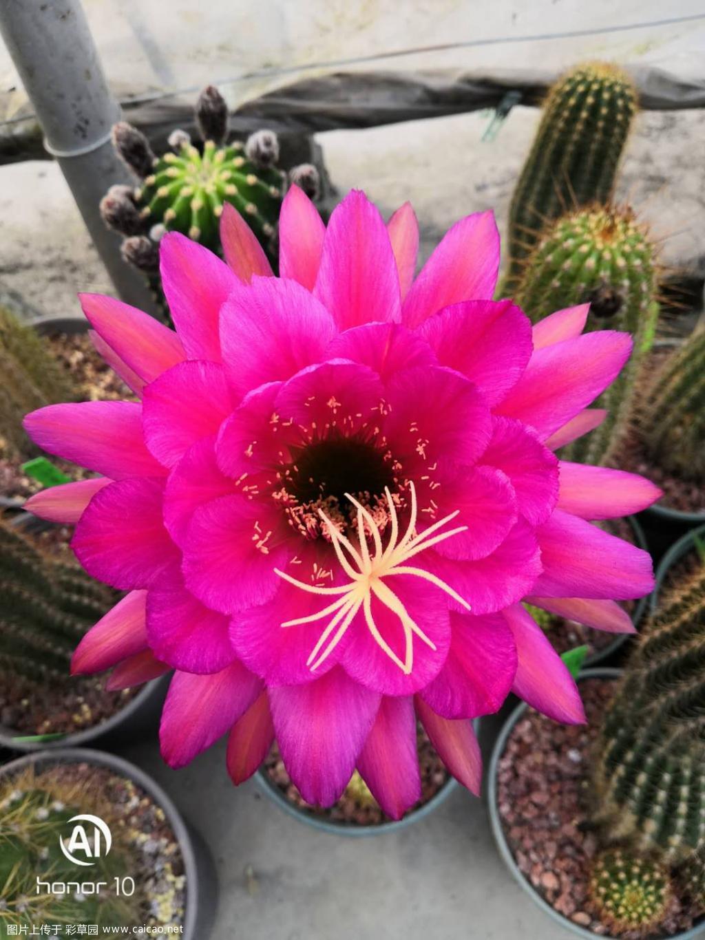 5.10天天有惊喜