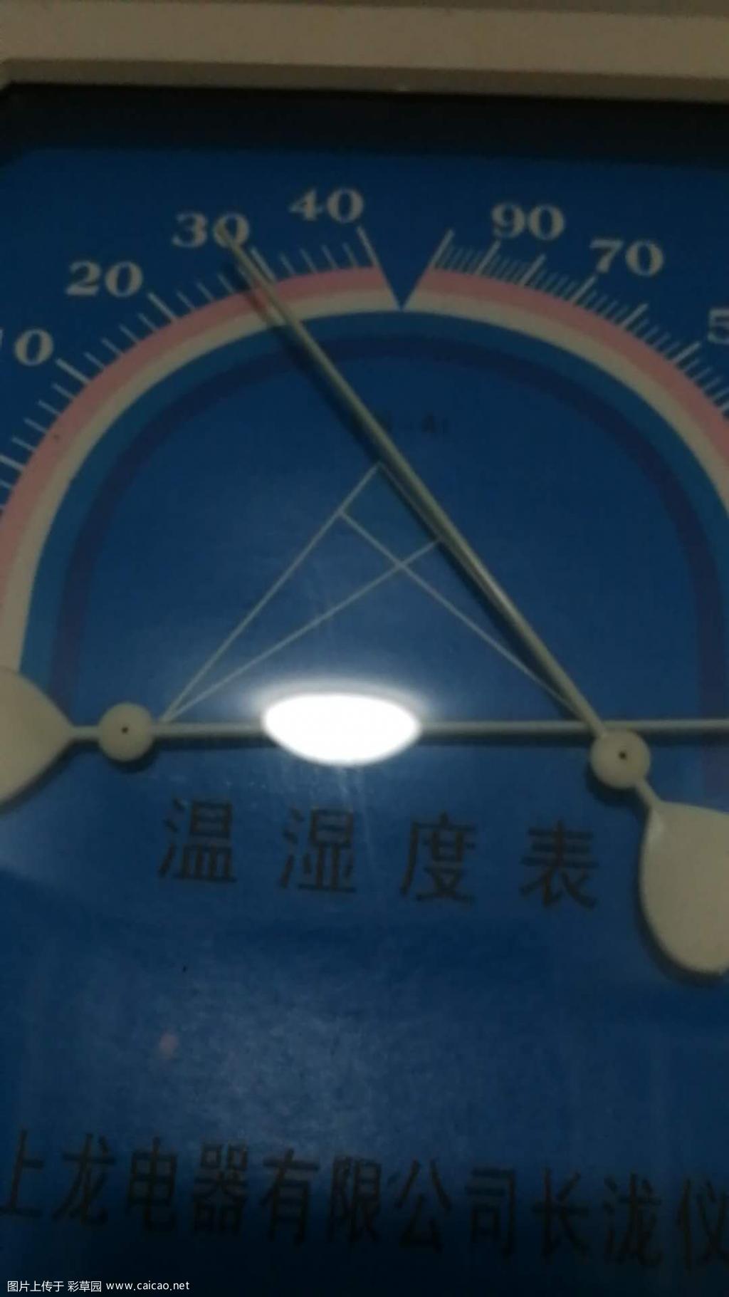 太阳花一朵