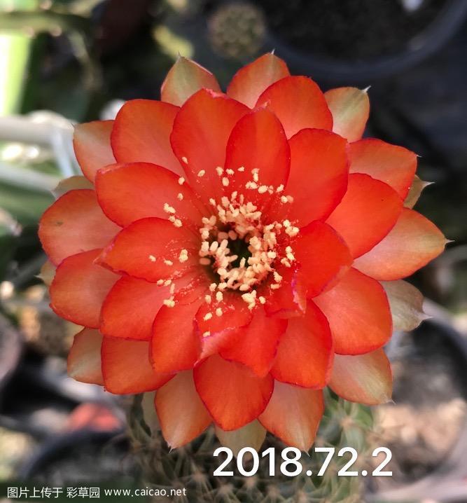 GX.2018.72.2