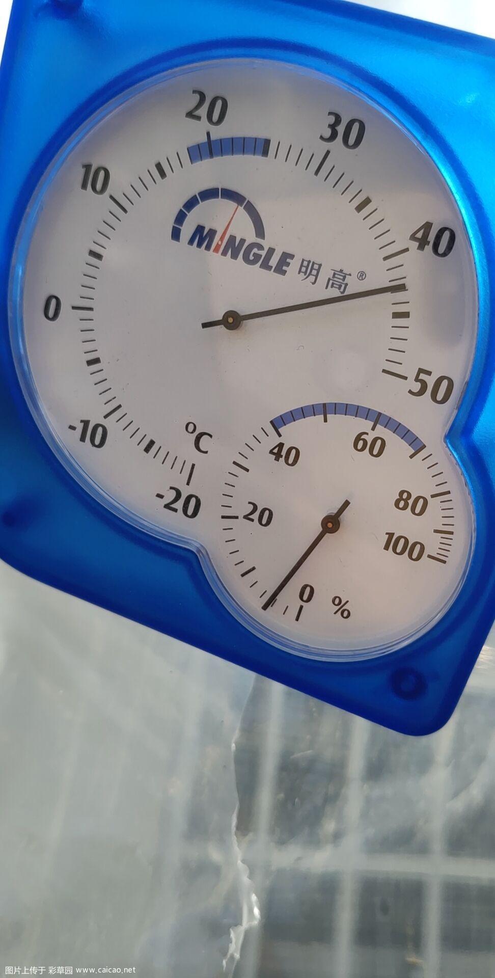 43°C